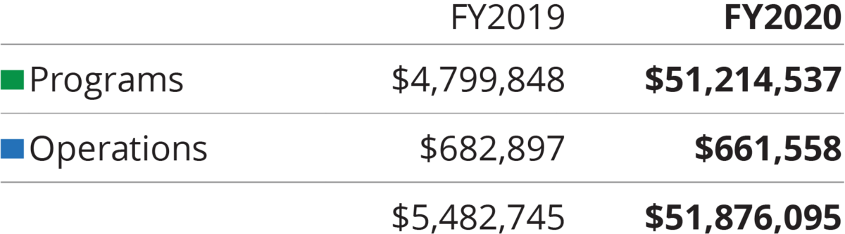 MFLA-2020-financial-descriptions-V2_program-vs-operation-details