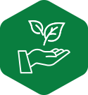 hand-leaf-icon