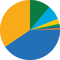mfla-ar-2022-financials-spending-issue-areas